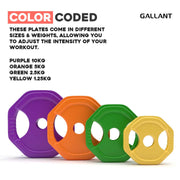 Gallant Studio Body Set Color Coded.