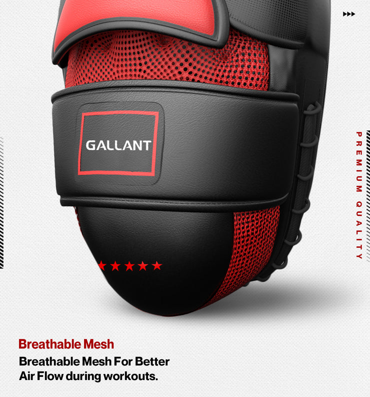 Gallant heritage boxing pro pads show the workout.