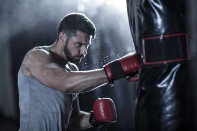Why You Need to Invest in a Punch Bag, Plus 7 of the Best