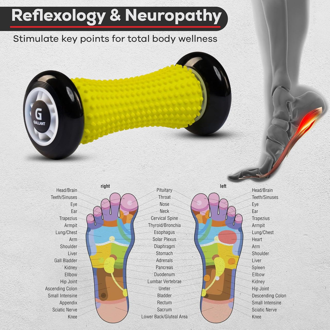 Foot Massager Roller with Hard Spiky Massage Ball Deep Tissue Muscle Massage Roller for Foot Pain