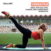 Gallant Wrist and Ankle Weights Versatile .
