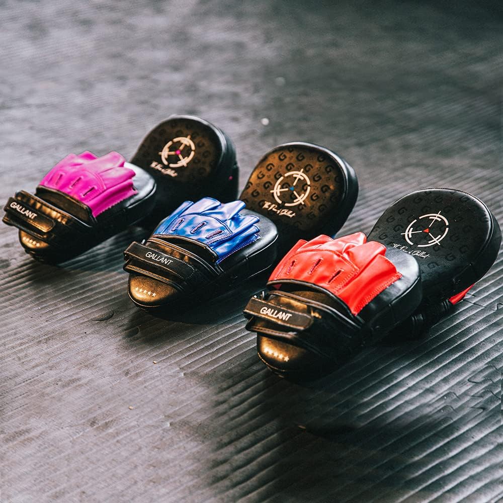 Gallant Heritage Series Boxing Focus Mitts Training Pads - Light Weight Main IMG.