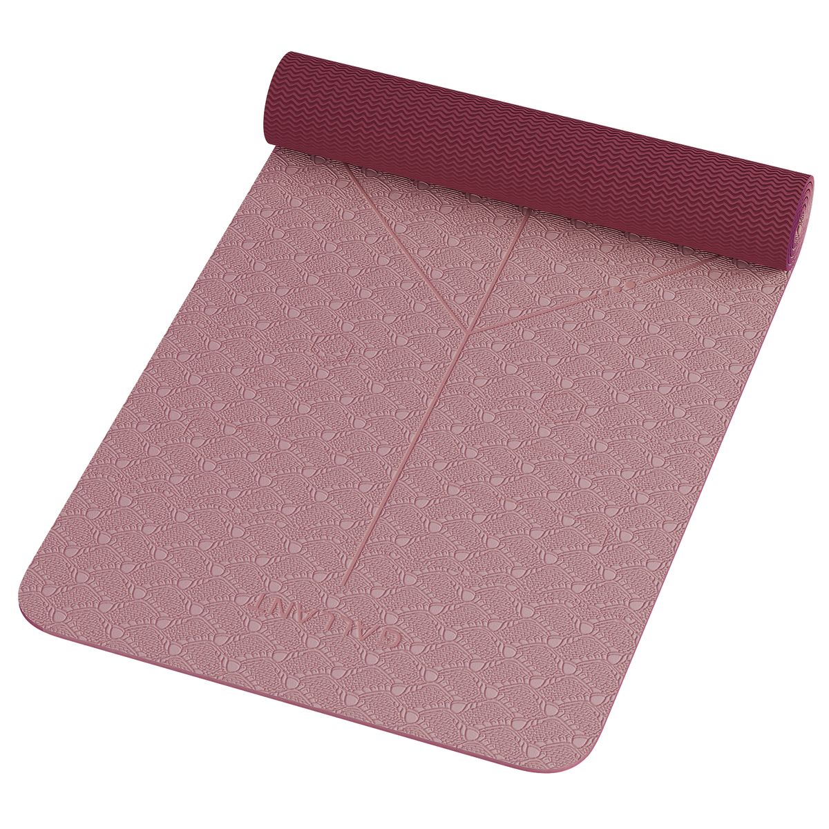 Yoga Mat With Carry Strap - Eco Friendly TPE, Non-Slip , Exercise Pilates Mat