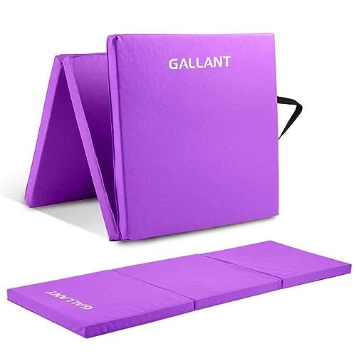 Gymnastics Mat Tri Foldable Exercise Workout Mat - Exercise Mats