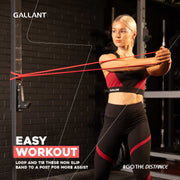Gallant Power Bands Resistance Pull UP Bands,Easy workout.