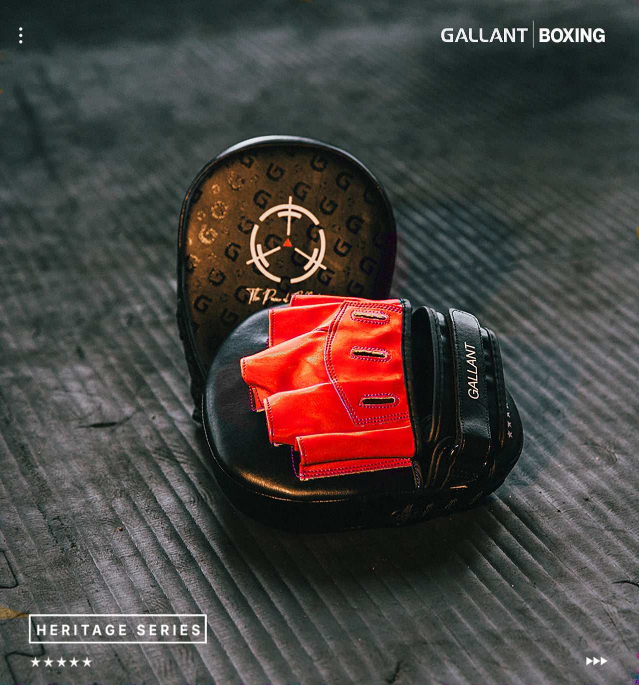 Gallant boxing pads gloves show the pic.